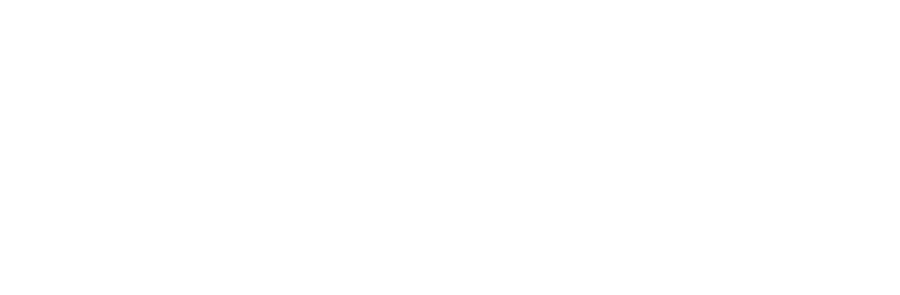 google logo wit