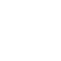 instagram icon wit